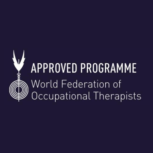 Licenciatura em Terapia Ocupacional da E2S renovou acreditação internacional pela WFOT até 2032