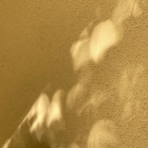 O eclipse solar total de 12 de Agosto 
