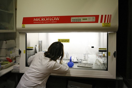 ESS.IPP | Rui Pinheiro© CCIC | P.PORTO 